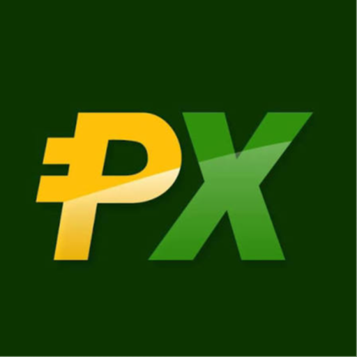 Pursa